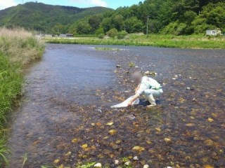 放流の様子