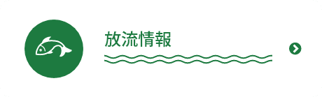 放流情報