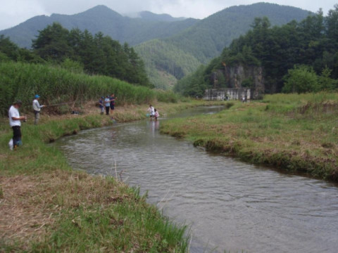 放流の様子