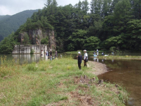 放流の様子