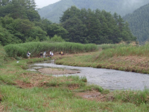 放流の様子