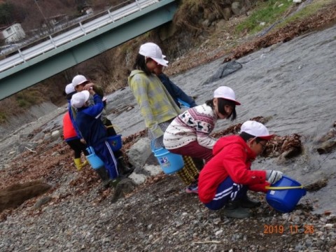 イワナ稚魚 放流の様子