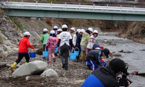 イワナ稚魚 放流の様子