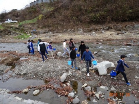 イワナ稚魚 放流の様子