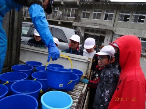 イワナ稚魚 放流の様子